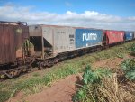 RUMO HPT-032707-7